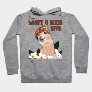 What A Good Day Llama Vicuna Guanaco Breeder Alpaca Hoodie